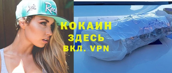 молекула духа Алексин