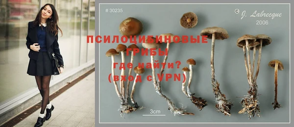 молекула духа Алексин