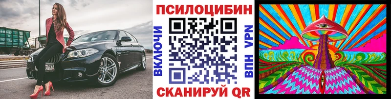Псилоцибиновые грибы прущие грибы  наркотики  Алейск 