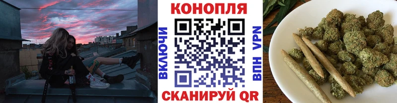 omg tor Алейск shop формула Конопля SATIVA & INDICA